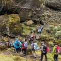 Leave No Trace for Solo Hikers: Unique Considerations and Responsibilities