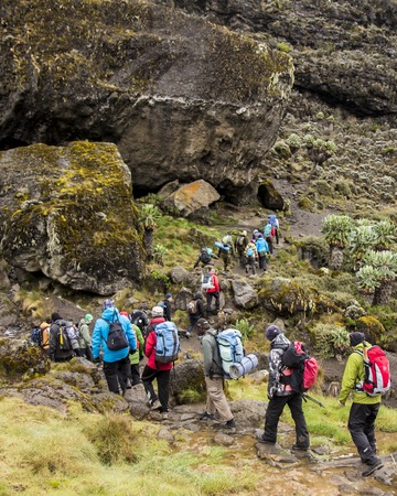 Leave No Trace for Solo Hikers: Unique Considerations and Responsibilities