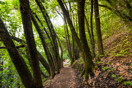 Discovering the Best Trails in North Carolina’s Blue Ridge Parkway