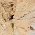 Southern Utah’s Escalante Canyons: Backpacking Coyote Gulch and Zebra Slot