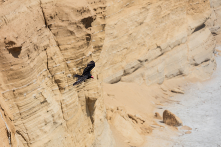 Southern Utah’s Escalante Canyons: Backpacking Coyote Gulch and Zebra Slot