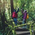 Essential Tips for Planning a Successful Family or Group Hike in the US