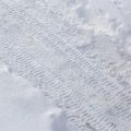 Understanding Local Weather Patterns: Interpreting Rain on the Trail