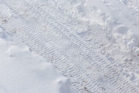 Understanding Local Weather Patterns: Interpreting Rain on the Trail