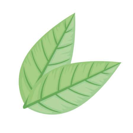 Minimizing Impact on Natural Features