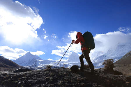 Top 20 Dog-Friendly National Parks for Family Adventures