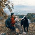 Backpacking the Wonderland Trail: Everything You Need to Know for an Epic Mount Rainier Adventure