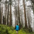 Backpacks Showdown: Comparing the Best Affordable and High-End Hiking Packs