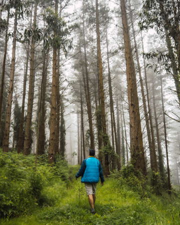 Backpacks Showdown: Comparing the Best Affordable and High-End Hiking Packs