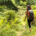 Backpacking the Smokies: Must-Do Trails in Great Smoky Mountains National Park