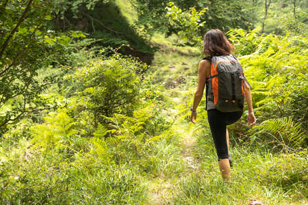 Backpacking the Smokies: Must-Do Trails in Great Smoky Mountains National Park