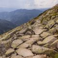 Dealing with Sprains, Strains, and Broken Bones While Hiking