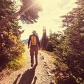 Sunglasses for Hikers: Budget vs. Premium Eye Protection Explored