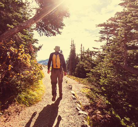 Sunglasses for Hikers: Budget vs. Premium Eye Protection Explored