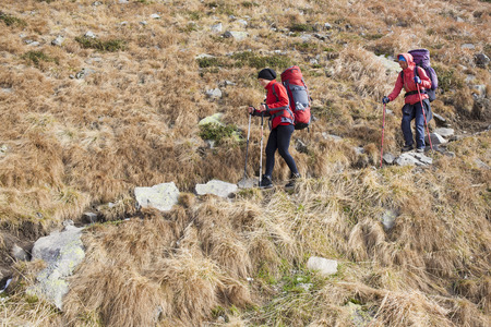 Nature’s Classroom: The Science Lessons Your Kids Will Love on Educational Hiking Trails