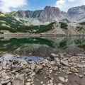 Finding Food and Water in Arid Landscapes: Surviving in Deserts and Canyons