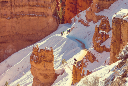 Bryce Canyon’s Hoodoos: Exploring the Wonders of the Queen’s Garden and Peekaboo Loop
