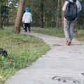 Family-Friendly Hiking Tents: What to Look for When Trekking with Kids