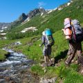 Mastering the Lean-To: American Bushcraft Techniques for All Seasons