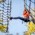 The Ultimate Guide to Hiking in Minnesota: Lakes, Forests, and Wilderness Trails