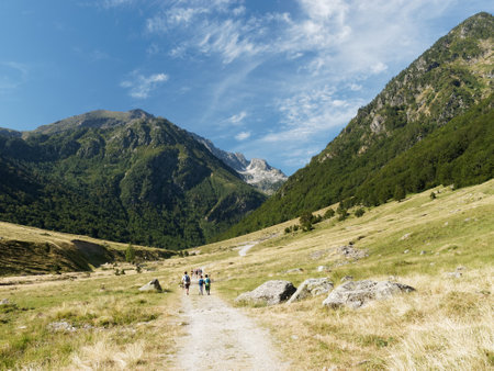 How to Prepare for Emergencies on the Trail: A Comprehensive Guide