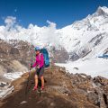 Comparing GPS Watches vs. Handheld GPS Units: What’s Best for Hikers?