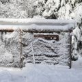 Building Snow Shelters: How to Survive Winter in the US Backcountry