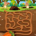 Eco-Kids: Teaching Environmental Stewardship on America’s Top Educational Trails