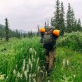 North Dakota Hiking Essentials: Badlands and Grassland Trails
