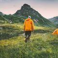 Avoiding and Treating Poisonous Plants on U.S. Trails