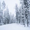 Winter Wanderlust: Cold-Weather Layering and Survival Tactics for U.S. Hikers