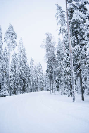 Winter Wanderlust: Cold-Weather Layering and Survival Tactics for U.S. Hikers