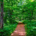 Trail Names and Trail Legends: The Origin Stories You Haven’t Heard