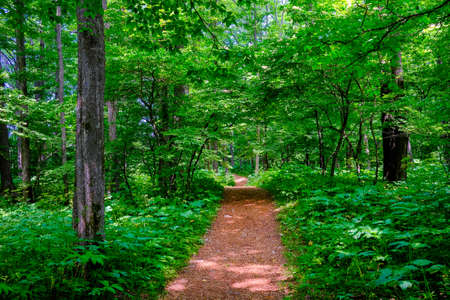 Trail Names and Trail Legends: The Origin Stories You Haven’t Heard