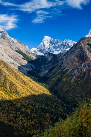 Epic Fall Hikes: Midwest Destinations for Autumn Colors