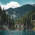 Water Wisdom: Hydration Systems, Bottles, and Purification for U.S. Trails
