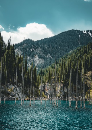 Water Wisdom: Hydration Systems, Bottles, and Purification for U.S. Trails
