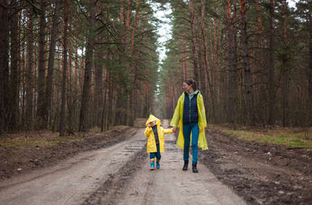 Hiking with Toddlers and Babies: Carriers, Strollers, and Naptime Tips