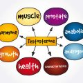 Understanding Macros on the Trail: Balancing Carbs, Proteins, and Fats for Peak Performance