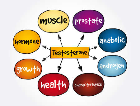 Understanding Macros on the Trail: Balancing Carbs, Proteins, and Fats for Peak Performance