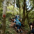 Designing Your Campsite for Efficiency: Workflow and Footprint in the Backcountry