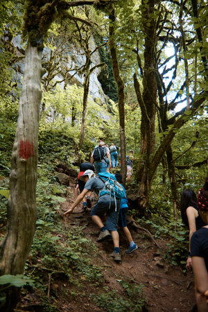 Designing Your Campsite for Efficiency: Workflow and Footprint in the Backcountry