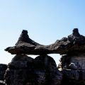 Long-Term Structures: Building Semi-Permanent Bushcraft Shelters on US Public Lands