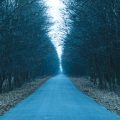 Gateway Arch National Park and St. Louis Local Trails: Urban Hiking in the Midwest