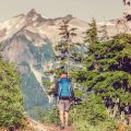 Dealing with Wildlife Encounters: What Every New Hiker Should Know