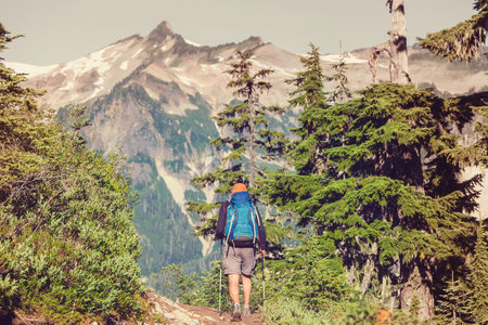 Dealing with Wildlife Encounters: What Every New Hiker Should Know