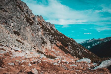 Navigating Crowded Trails: Tips for Peak Season Hiking in the U.S.