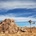 Magic in the Desert: Hiking the Trails of Joshua Tree National Park