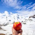 Homemade vs. Store-Bought Hiking Snacks: Pros, Cons, and Favorite Recipes