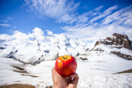 Homemade vs. Store-Bought Hiking Snacks: Pros, Cons, and Favorite Recipes